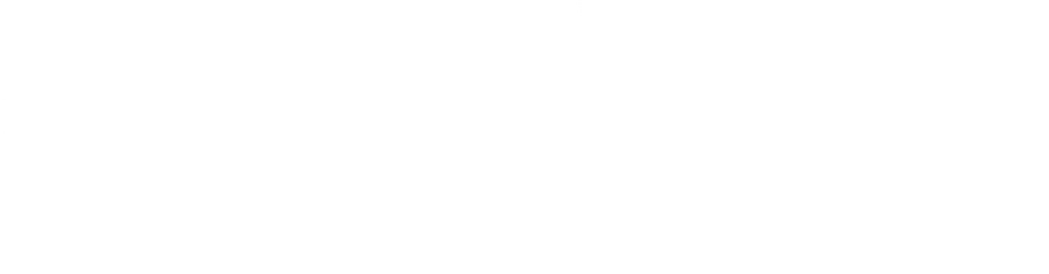Selvix