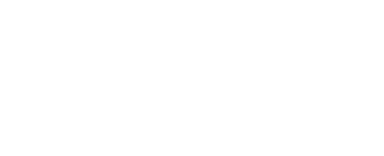 Selvix — The Smarter Way